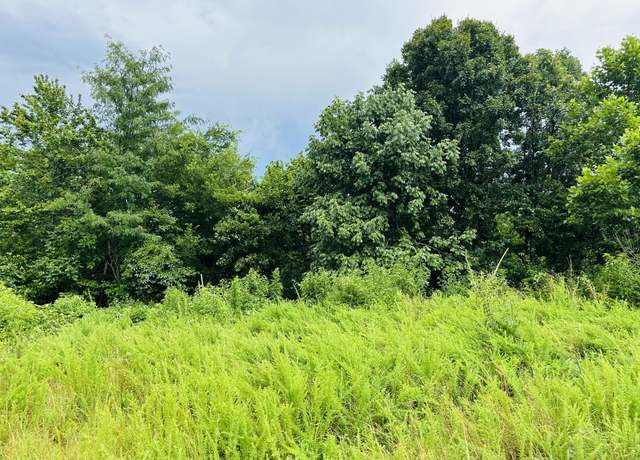 Property at 0 Topside Dr, Dover, TN 37058
