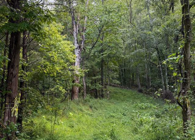Property at 0 Shelter Branch Rd, Charlotte, TN 37036