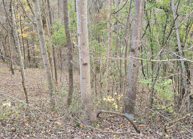 Property at 114 Shoreside Dr, Smithville, TN 37166
