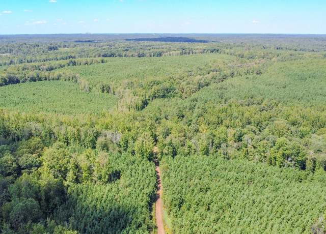 Property at 0 Haglersville Rd, Henry, TN 38231