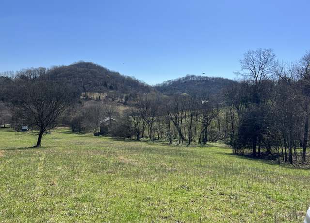 Property at 0 Hog Hollow Ln, Bethpage, TN 37022