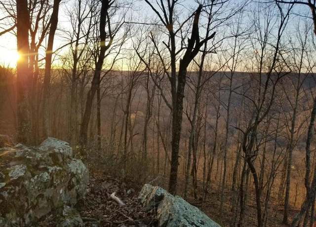 Property at 366 Preservation Dr, South Pittsburg, TN 37380