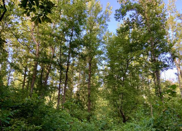 Property at 0 Copper Spring Rd, Springville, TN 38256