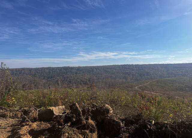 Property at 0 Northcutts Cove Rd, Beersheba Springs, TN 37305