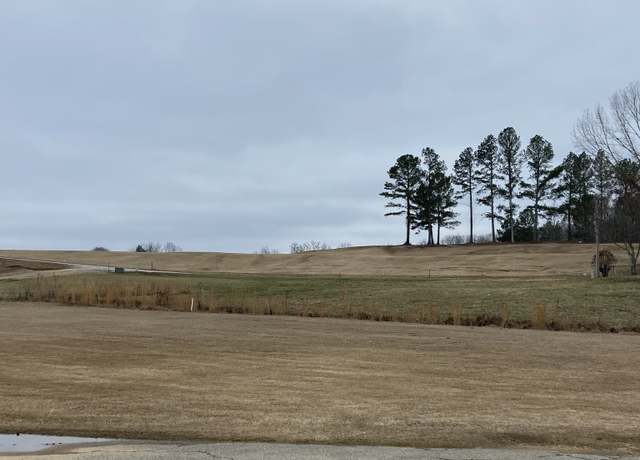 Property at 0 Rest Ln, Decaturville, TN 38329