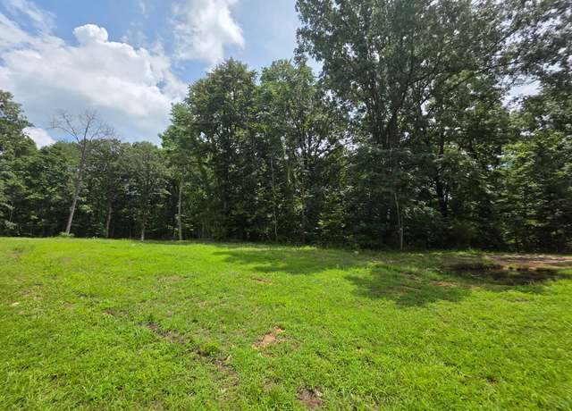 Property at 0 Baggett Holw, Cunningham, TN 37052