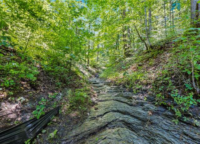 Property at 740 Hogans Branch Rd, Hendersonville, TN 37075