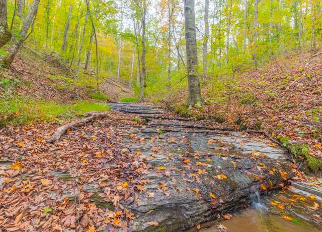 Property at 0 Ross Hollow Rd, Ashland City, TN 37015