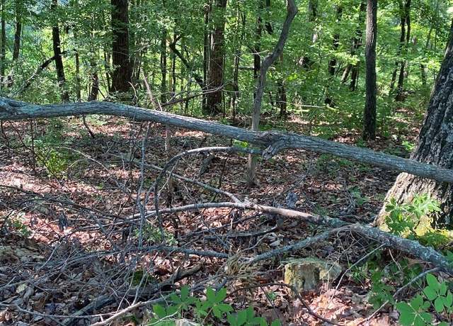 Property at 0 Lakeview Dr, Smithville, TN 37166