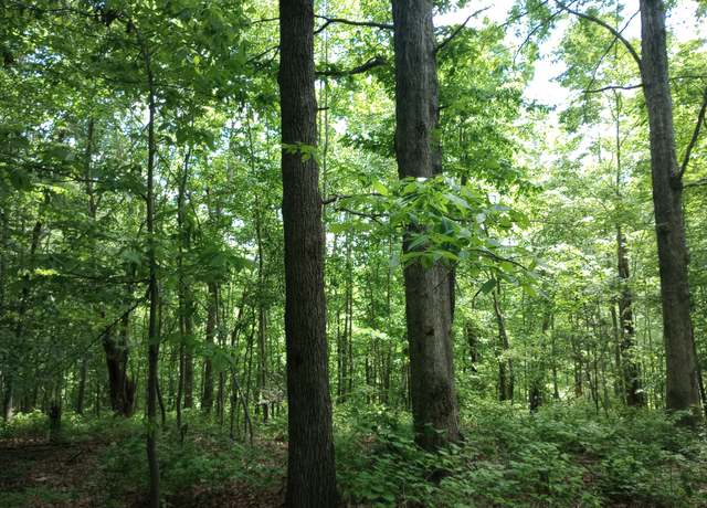 Property at 8690 Poplar Creek Rd, Nashville, TN 37221
