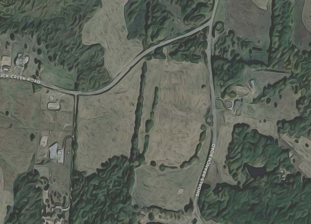 Property at 0 Shoals Branch Rd, Primm Springs, TN 38476