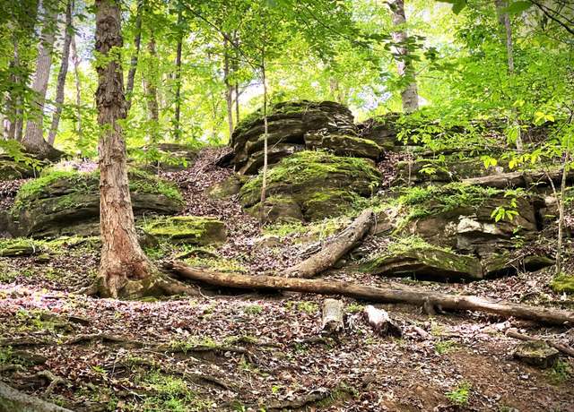 Property at 0 Three Island Rd, Walling, TN 38587