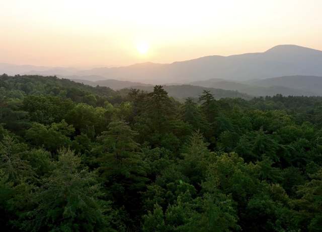 Property at 1 Ridge Hollow Rd, Del Rio, TN 37727