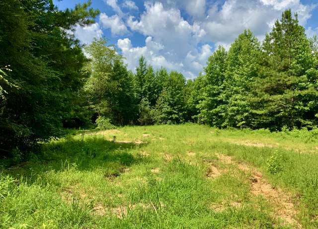 Property at 806 Pettijohn Creek Rd, Henry, TN 38231