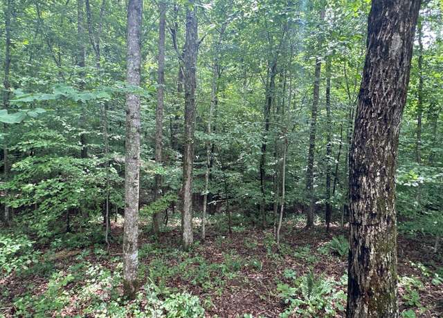 Property at 0 Moonlight Bay Dr, Sparta, TN 38583