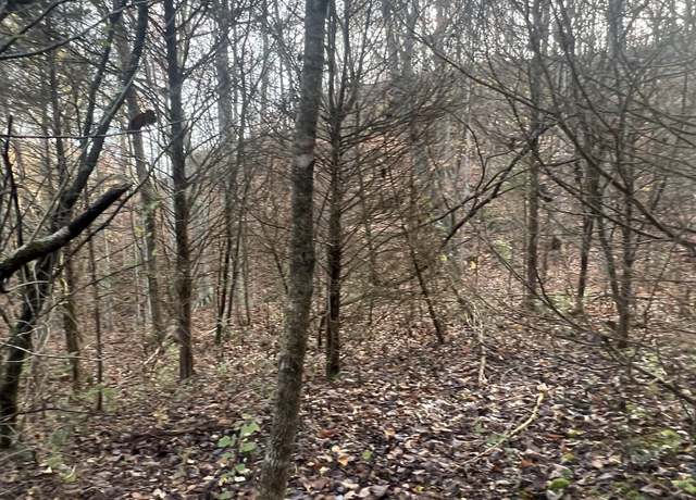 Property at 0 Burkesville Hwy, Celina, TN 38551