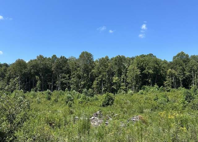Property at 12 Dykes Hollow Rd, Tracy City, TN 37387