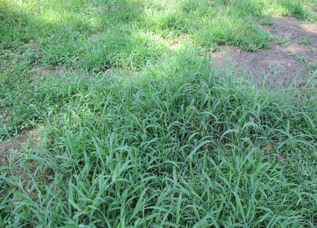 Property at 1613 Red Bank Creek Rd, Lobelville, TN 37097