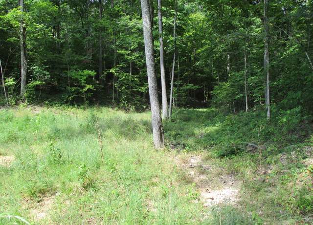 Property at 0 Red Bank Creek Rd, Lobelville, TN 37097