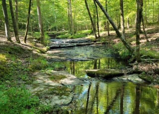 Property at 0 Rose Hill Rd, Pulaski, TN 38478