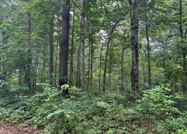 Property at 1 Tipple Rd, Tracy City, TN 37387
