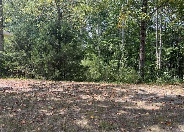 Property at 0 Shiloh Ln, Smithville, TN 37166