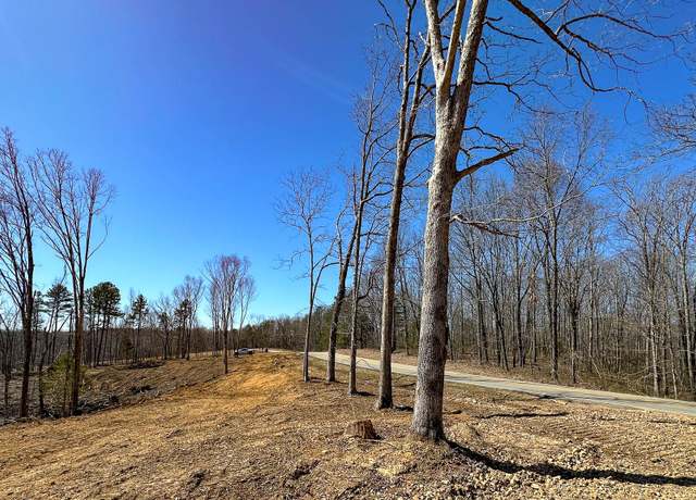 Property at 0 Highway 438, Centerville, TN 37033