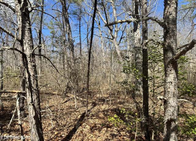 Property at 0 Divide Trl, Monterey, TN 38574