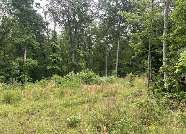 Property at 146 Quail Ridge Rd, Summertown, TN 38483