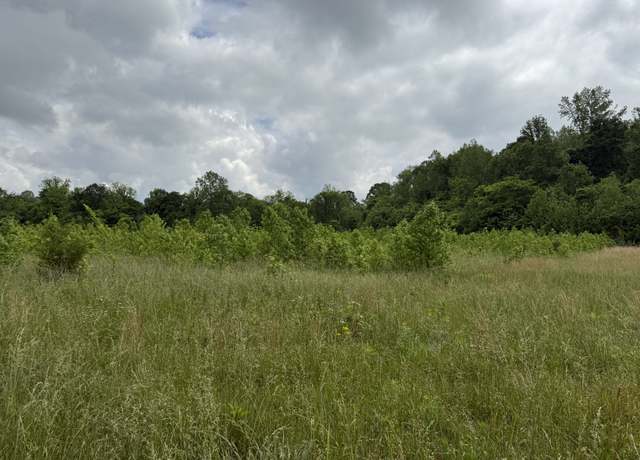 Property at 265 Lantern Ln, Olivehill, TN 38475