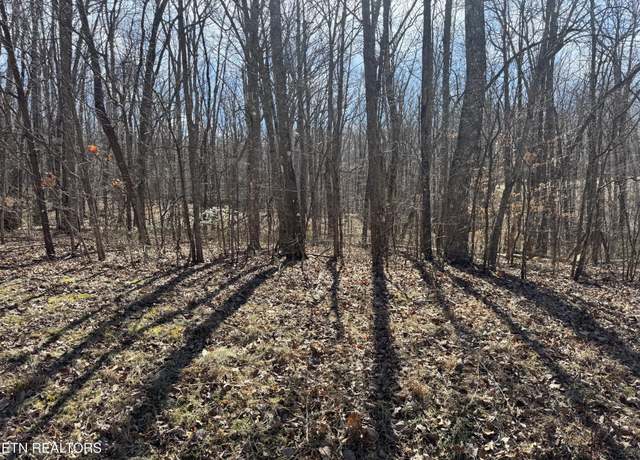 Property at 0 Davidson Dr, Monterey, TN 38574