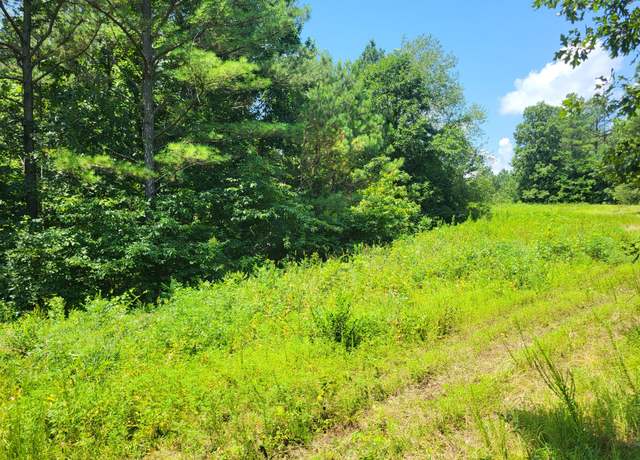 Property at 3 Strawberry Gables, Holladay, TN 38341