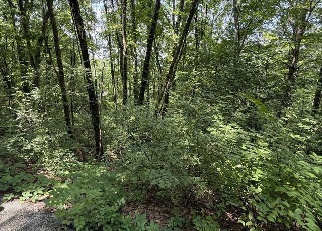 Property at 0 Wheeler Ave, Chattanooga, TN 37404