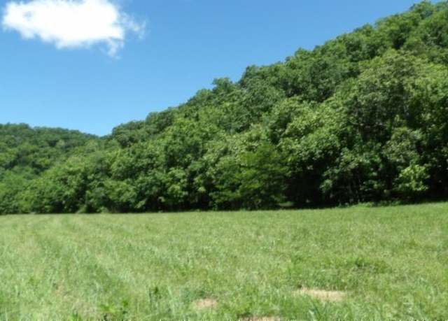 Property at 5155 Brimstone Creek Rd, Moss, TN 38575