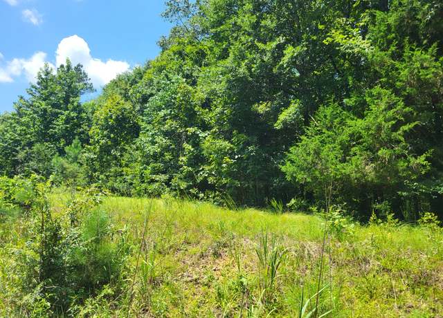 Property at 8 Birdsong Rd, Holladay, TN 38341