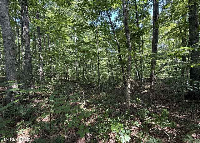 Property at 2 E Cove Rd, Monterey, TN 38574