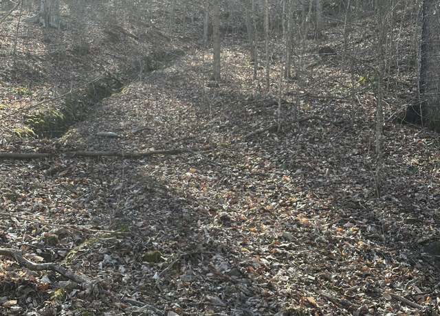 Property at 0 Buck Branch Rd, Duck River, TN 38454