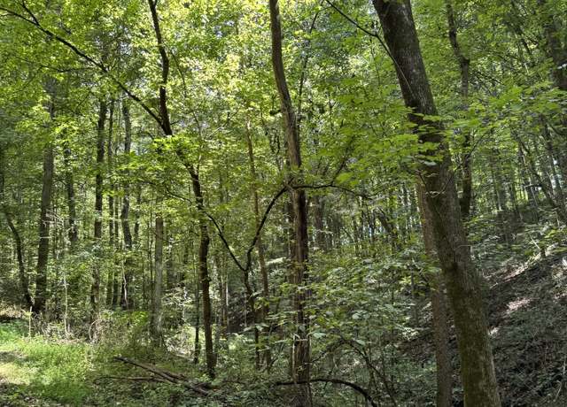Property at 0 Albert Fentress Rd, Greenbrier, TN 37073