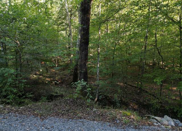 Property at 1 Cave Branch Rd, Dickson, TN 37055