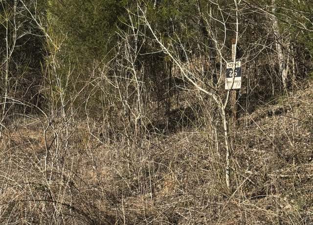 Property at 10 Shoreside Dr, Smithville, TN 37166