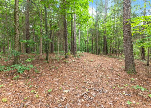 Property at 5082 Moorefield Rd, Cunningham, TN 37052