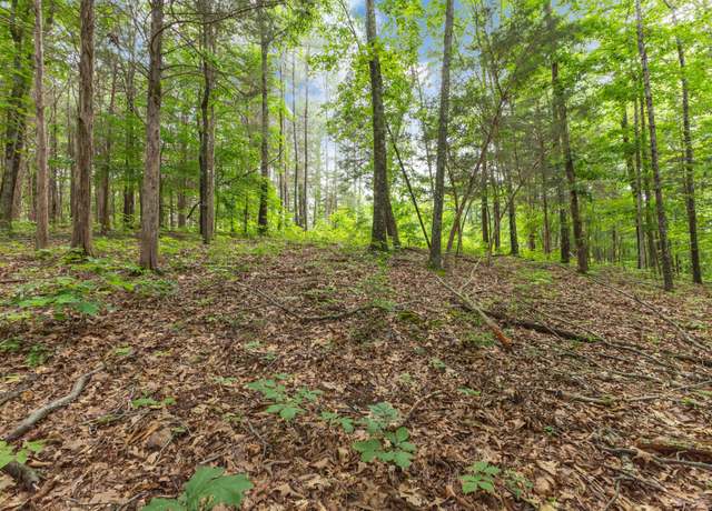 Property at 5082 Moorefield Rd, Cunningham, TN 37052