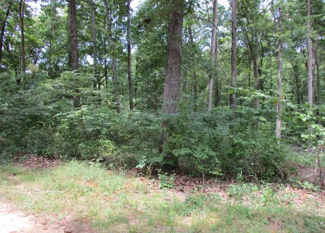 Property at 43 Franks Loop, Scotts Hill, TN 38374