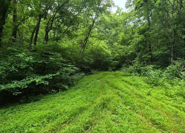 Property at 0 Williams Rd, Cornersville, TN 37047