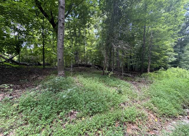 Property at 0 Old Stage Rd, Dickson, TN 37055