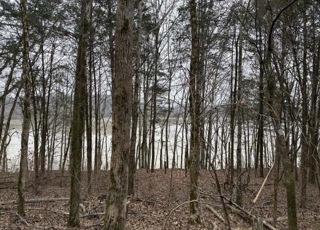 Property at 0 Cook Ln, Gainesboro, TN 38562