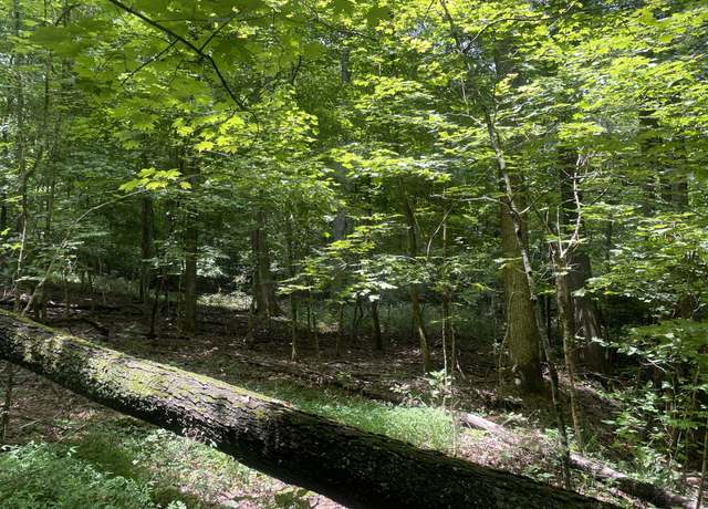 Property at 1535 Mount Olivet Rd, Hendersonville, TN 37075