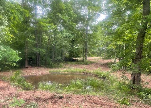 Property at 0 Mccollum Rd, Hurricane Mills, TN 37078