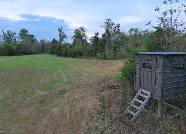 Property at 0 Bunches Chapel Rd, Parsons, TN 38363