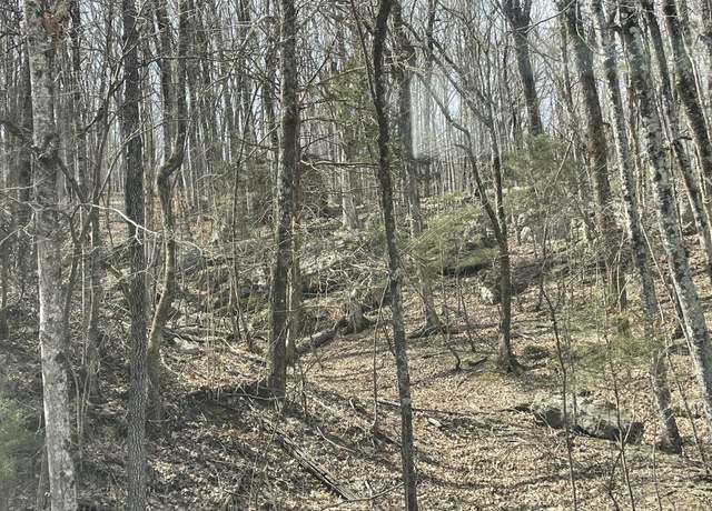 Property at 0 Roarks Cove Rd, Sewanee, TN 37375